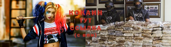 индика Алзамай
