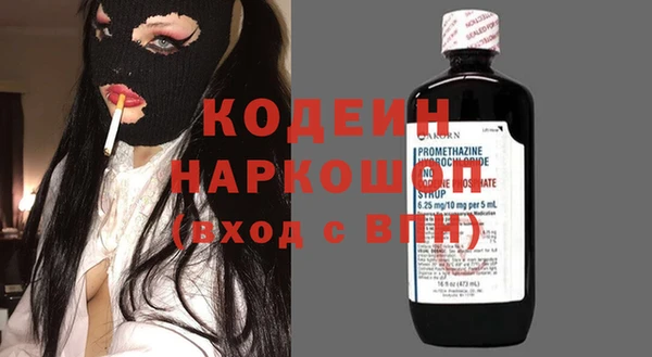 индика Алзамай