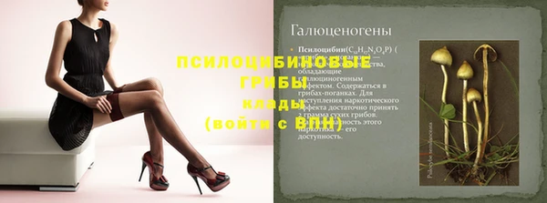 винт Алексин